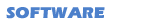 software development